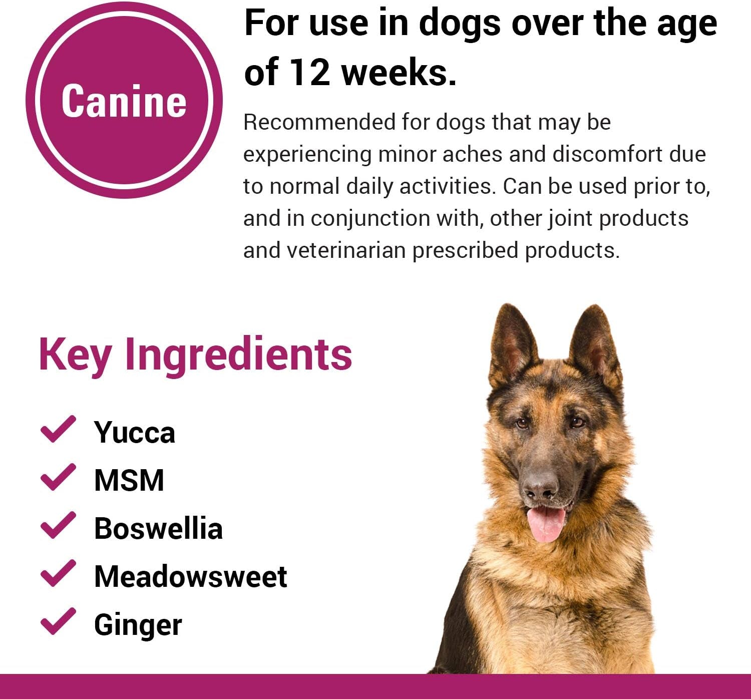 Pain plus Extra Strength Health Supplement for Dogs - 120 Chewable Tablets