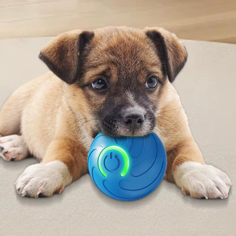 Smart Dog Toy Ball Electronic Interactive Pet Toy Moving Ball USB Charging Automatic Moving for Puppy Birthday Gift Cat Products
