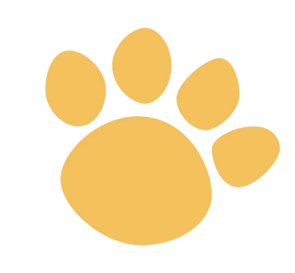 More Than Pets
